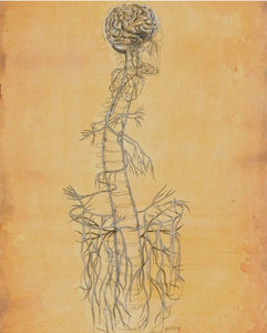 Vagus Nerve Kundalini Yoga Class 15th Nov 3pm Qld time