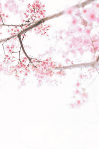 Spring Clean Kundalini Yoga, Meditation & Gong Sun Aug 31 3pm