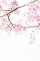 Spring Clean Kundalini Yoga, Meditation & Gong Sun Aug 31 3pm